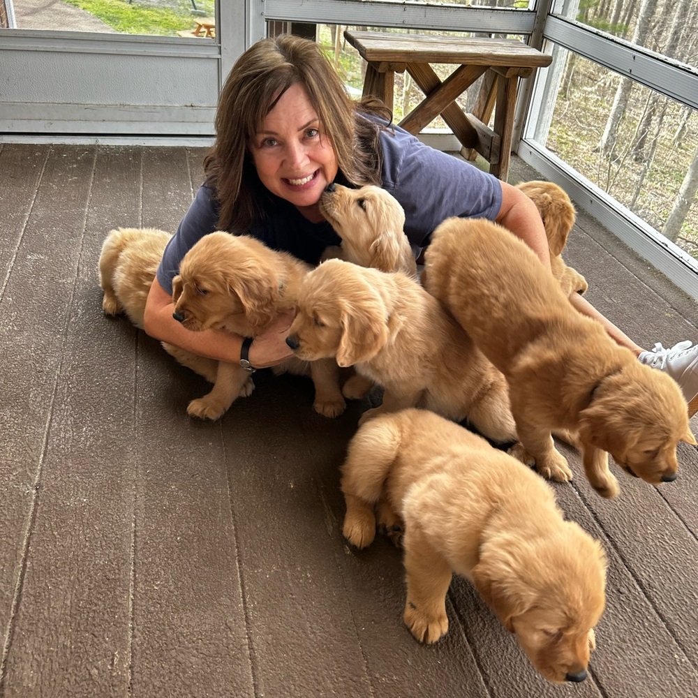 Meet your Posher, Karen